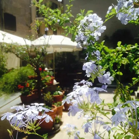 Giardino Del Corso *