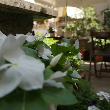 فندق مبيت وإفطار Giardino Del Corso